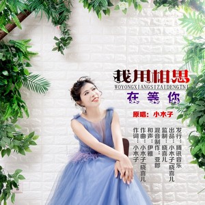 我用相思在等你 (伴奏)