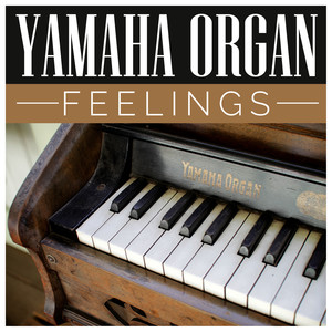 Yamaha Organ Feelings