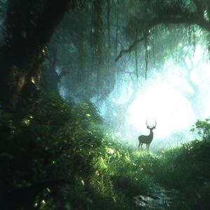 behind the tree/cloud/house (Explicit)