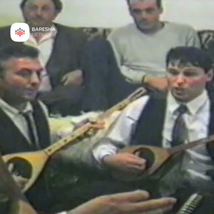 Moj Kosove mriz me zana