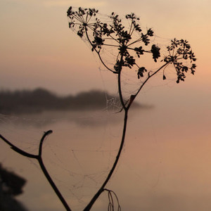 装糊涂 (COVER版)