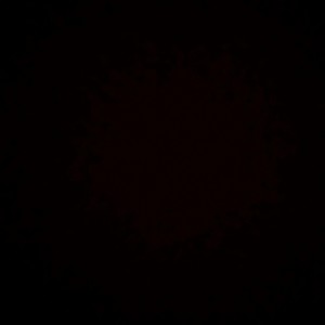 Look At Wyd 2 Me (Explicit)