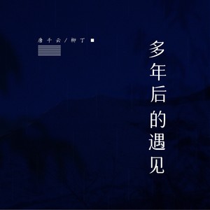 多年后的遇见