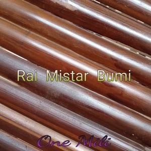 Rai Mistar Bumi