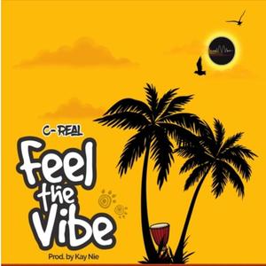 Feel The Vibe (Explicit)