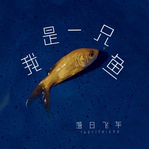 我是一只鱼