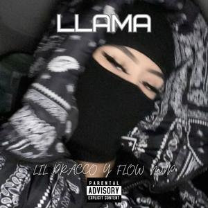 Llama