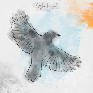Blackbird