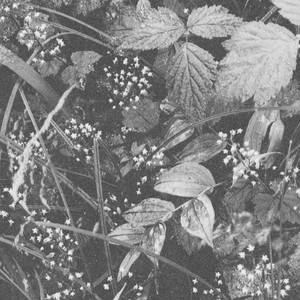 And I Will Not Tire You