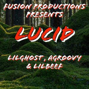 L U C I D (Explicit)