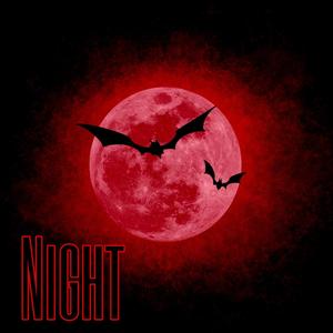 Night