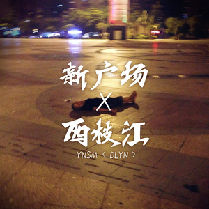 新广场by西枝江 (杨花大桥Remix)