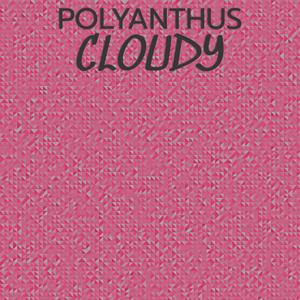 Polyanthus Cloudy