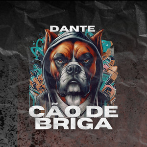 Cão de briga