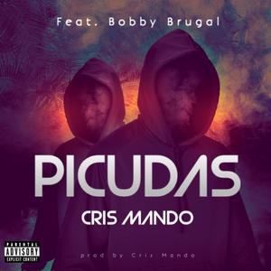 Picudas (feat. Bobby Brugal) (Explicit)