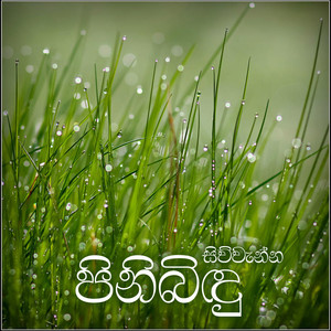 Dew Duwaka Se