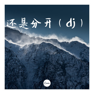 还是分开 (Remix)