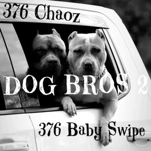 Dog Bros 2 (feat. 376 Baby Swipe) [Explicit]