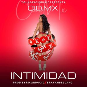 INTIMIDAD (Brayan Vr Remix)