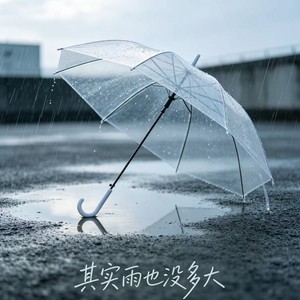 其实雨也没多大-DJ.阿智