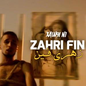 Zahri Fin