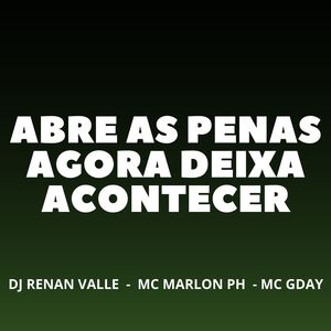 ABRE AS PERNAS AGORA DEIXA ACONTECER (Explicit)