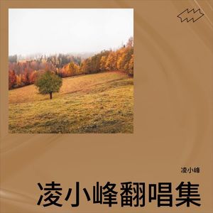 英雄泪
