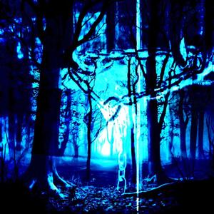 evermore (feat. Taylor Morgan) (Explicit)