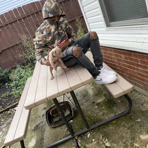 Detroit Flow (Explicit)