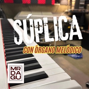 Súplica Con Órgano Melódico