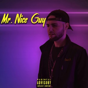 Mr. Nice Guy