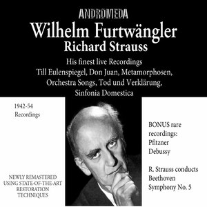 Don Juan, Op. 20, TrV 156 (1) (Live)