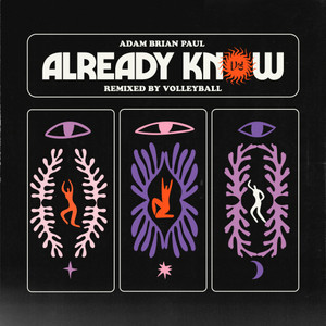 Already Know (Volleyball Remix)