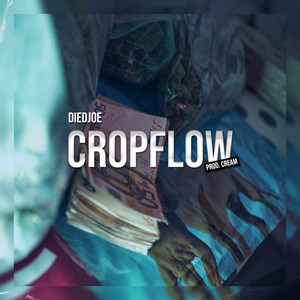 CropFlow (Explicit)