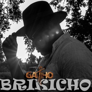 Brikicho