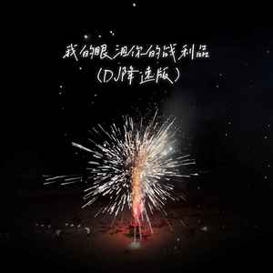 我的眼泪你的战利品 (DJ降速版)封面