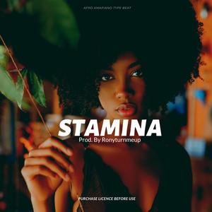 Stamina (Amapiano Instrumental)