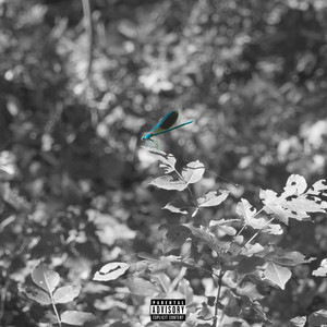 Toty - Amore e Gelosia (Explicit)