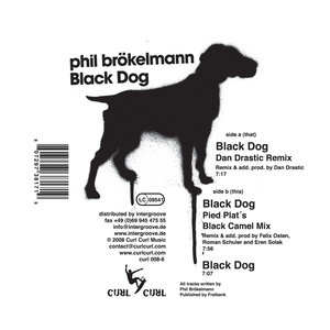 Black Dog