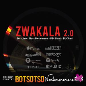 Zwakala 2.0 (feat. Botsotso, Kbrilliant & Dj Charl)