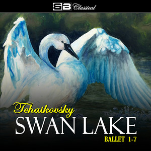 Swan Lake, Op .20: No. 1 Scene: Allegro Giusto