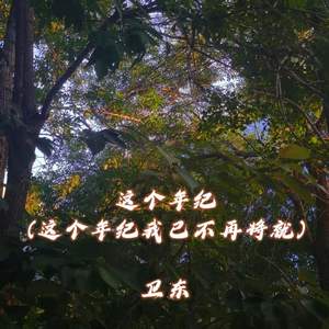 这个年纪 (这个年纪我已不再将就)