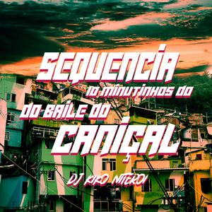 SEQUENCIA 10 MINUTINHOS DO BAILE DO CANIÇAL (Explicit)