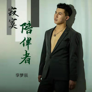 寂寞陪伴者 (DJheap九天)封面