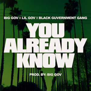 You Already Know (feat. Lil Gov & Black Guvernment Gang) (Explicit)