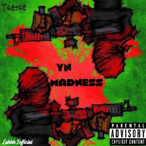 YN MADNESS (feat. TaeTae) (Explicit)