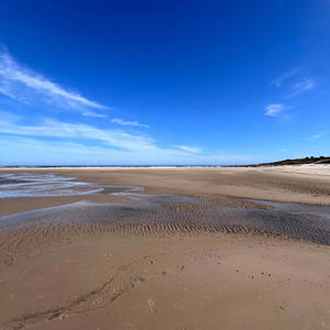 TropicPilot - Cant deny the good stuff