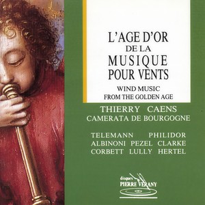 Concerto en ré majeur - Vivace