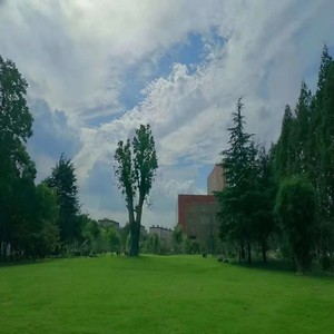 （写给毕业的）离别