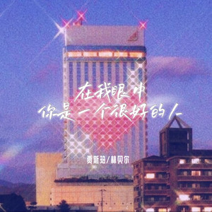 在我眼中你是一个很好的人